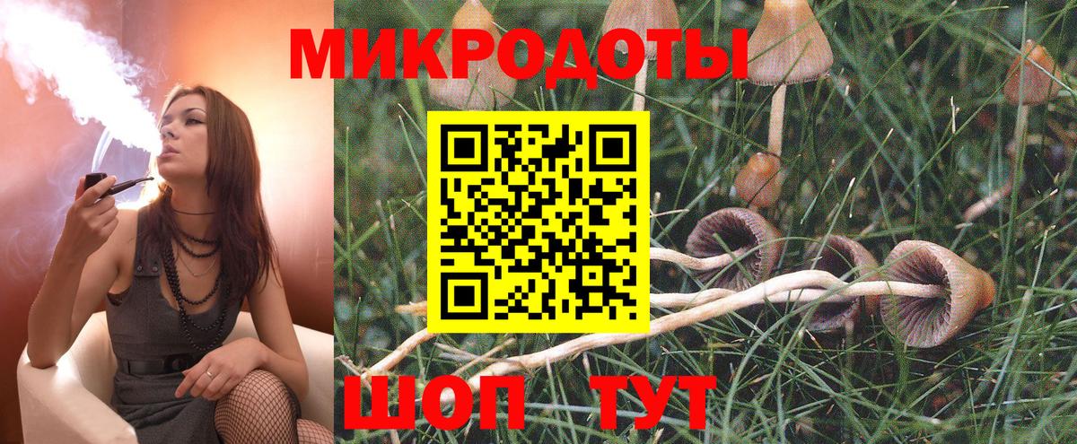 Псилоцибиновые грибы мухоморы  Вход с VPN  Ачхой-Мартан 